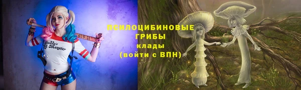 каннабис Алзамай