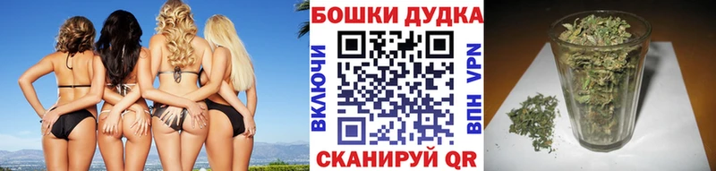 цены наркотик  Закаменск  Конопля тримм 